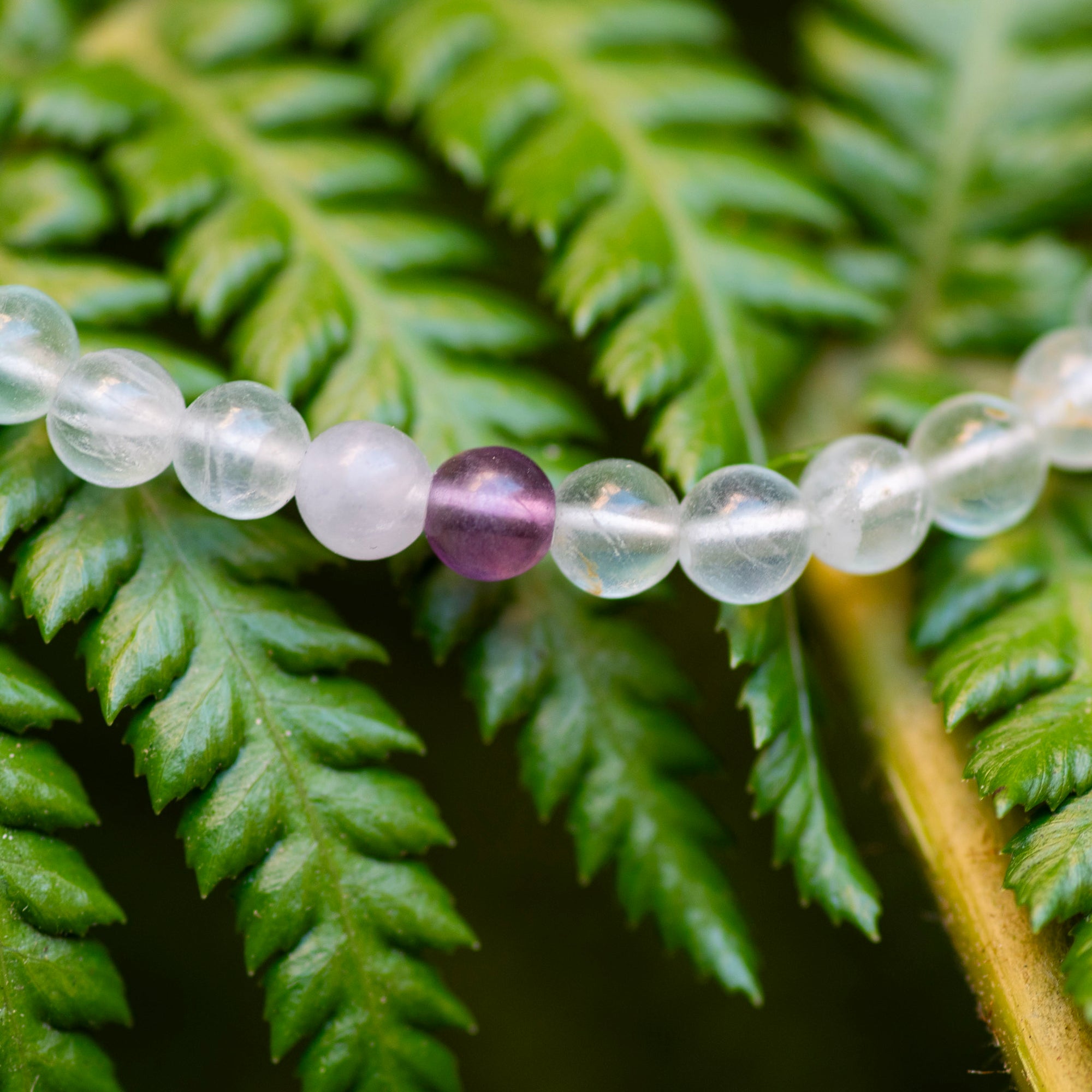 Mini Fluorite Bracelet
