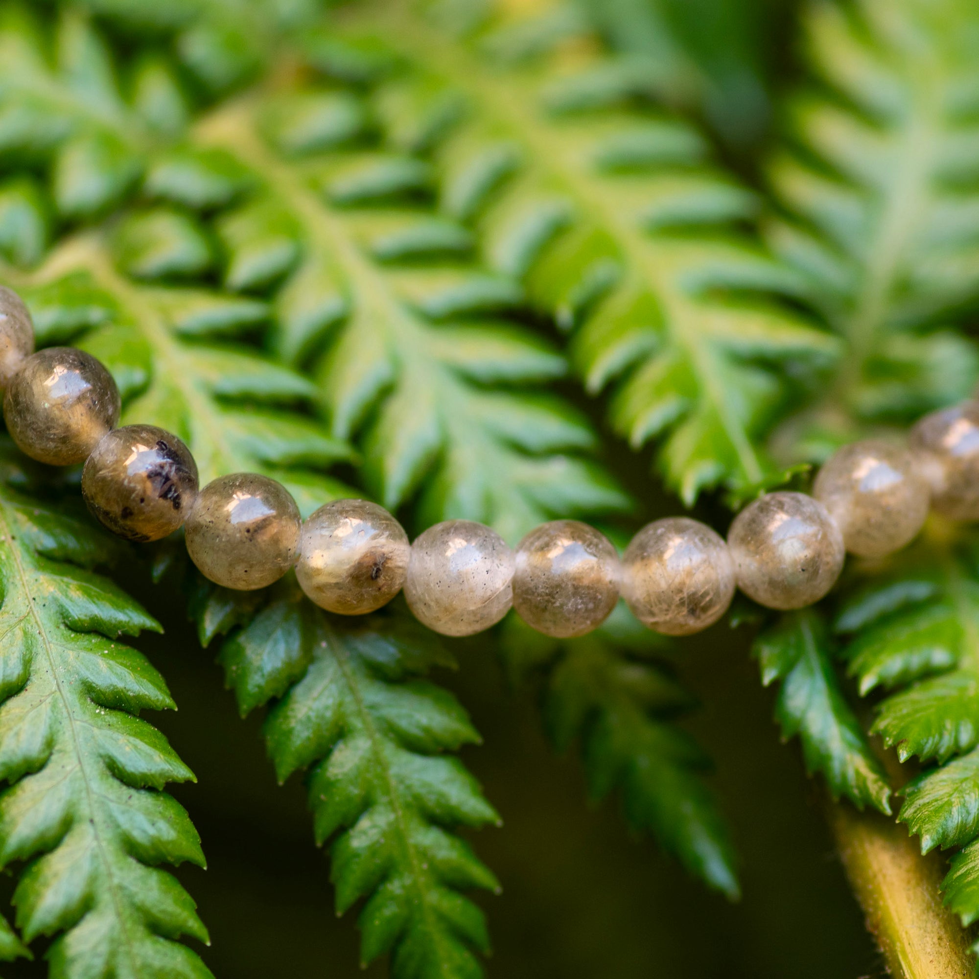 Mini Labradorite Bracelet