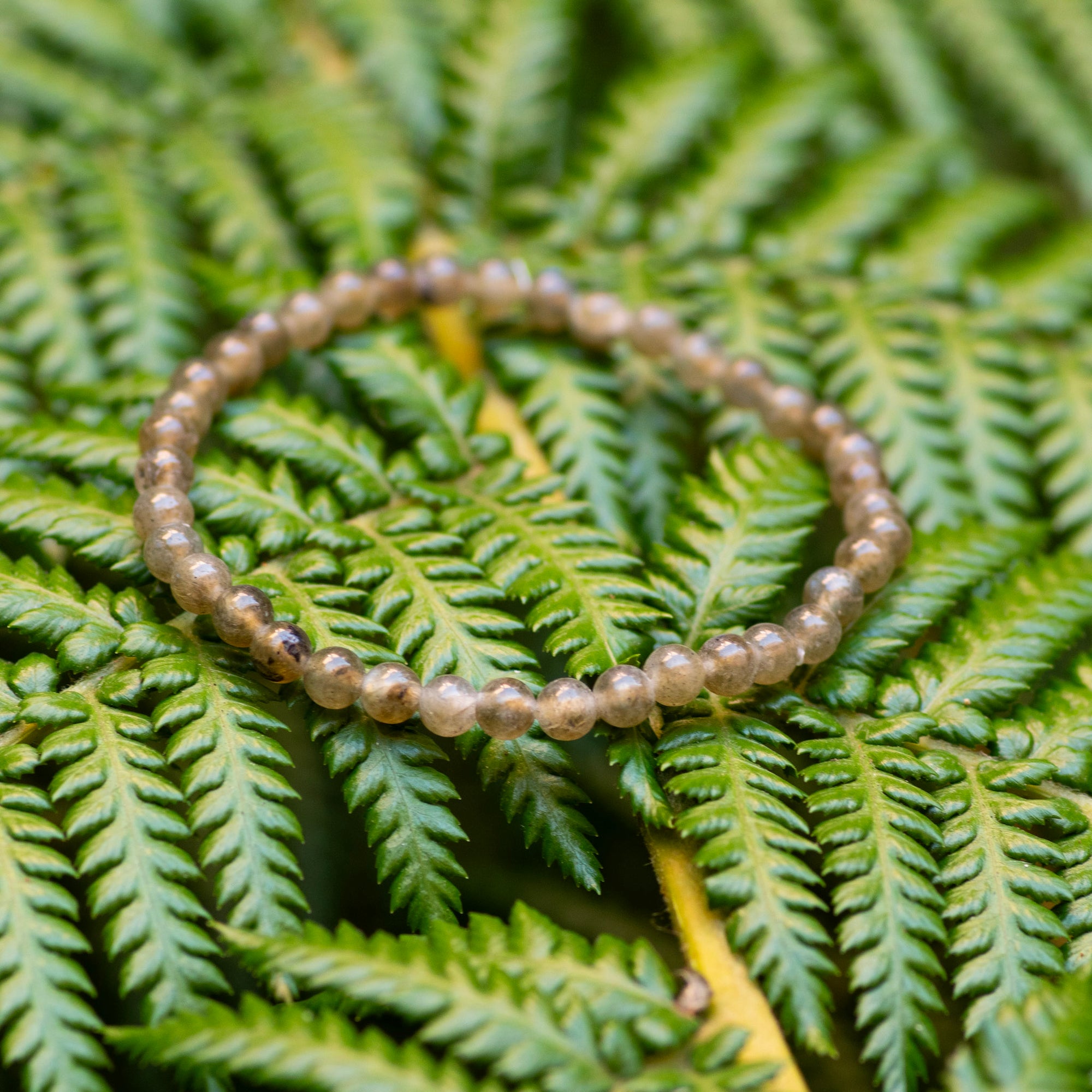 Mini Labradorite Bracelet
