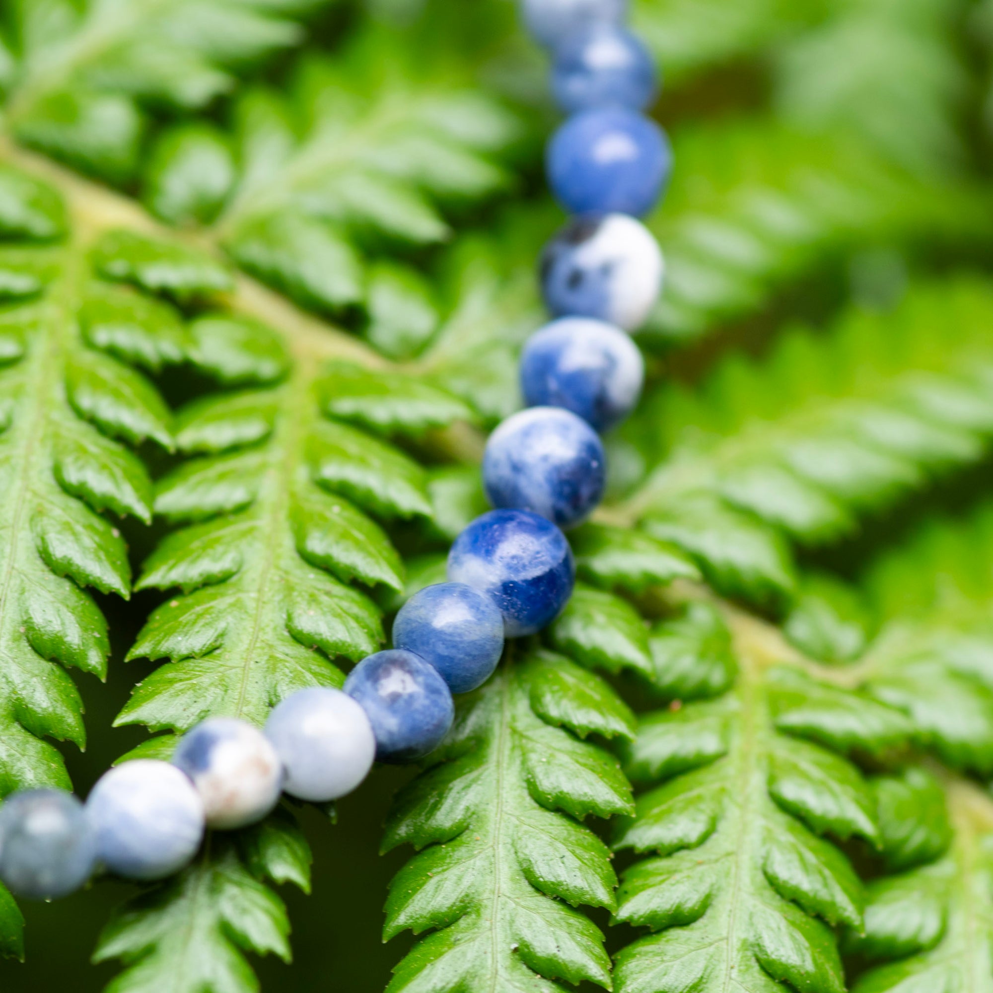 Sodalite Bracelet
