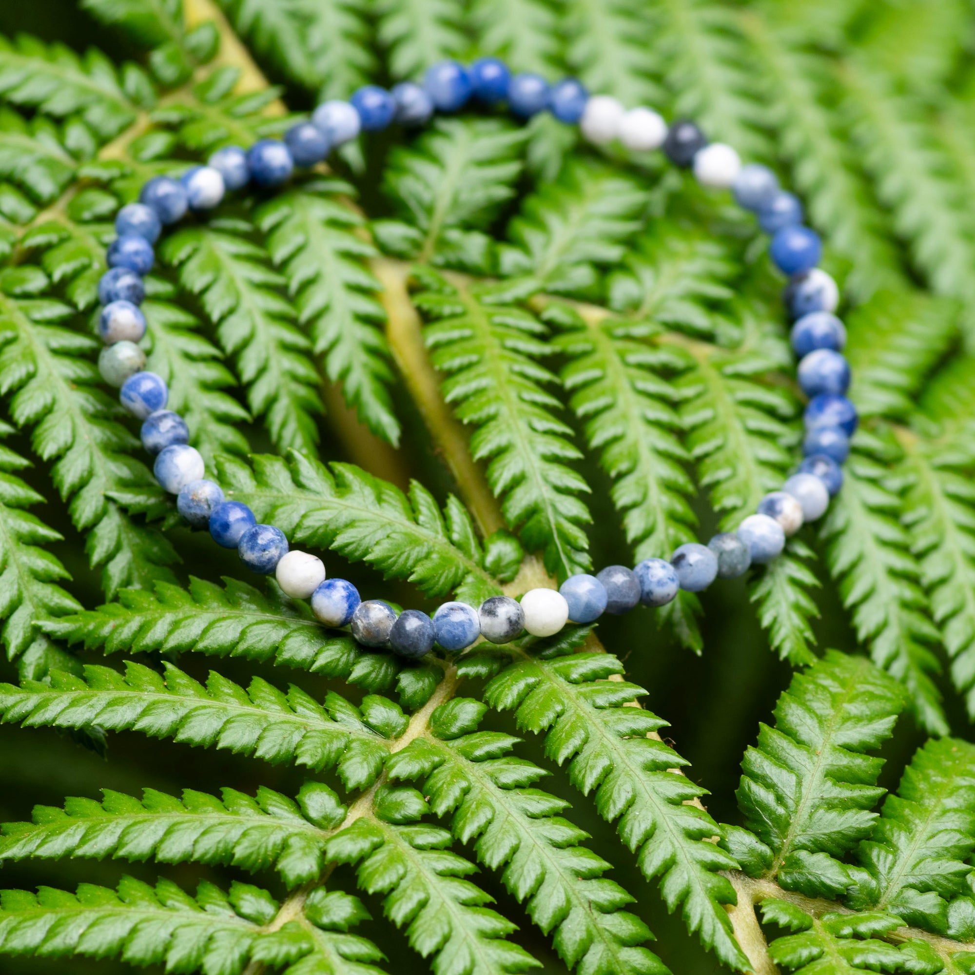 Sodalite Bracelet