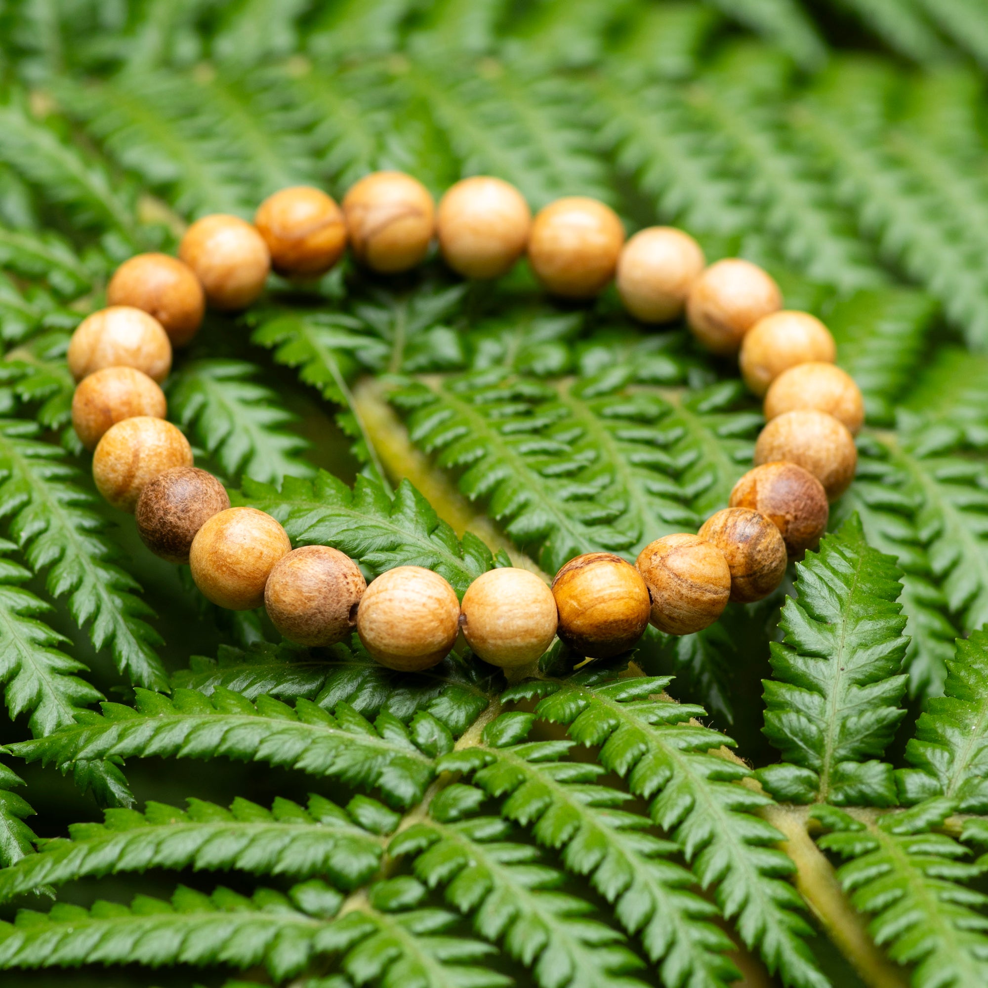 Palo Santo Bracelet
