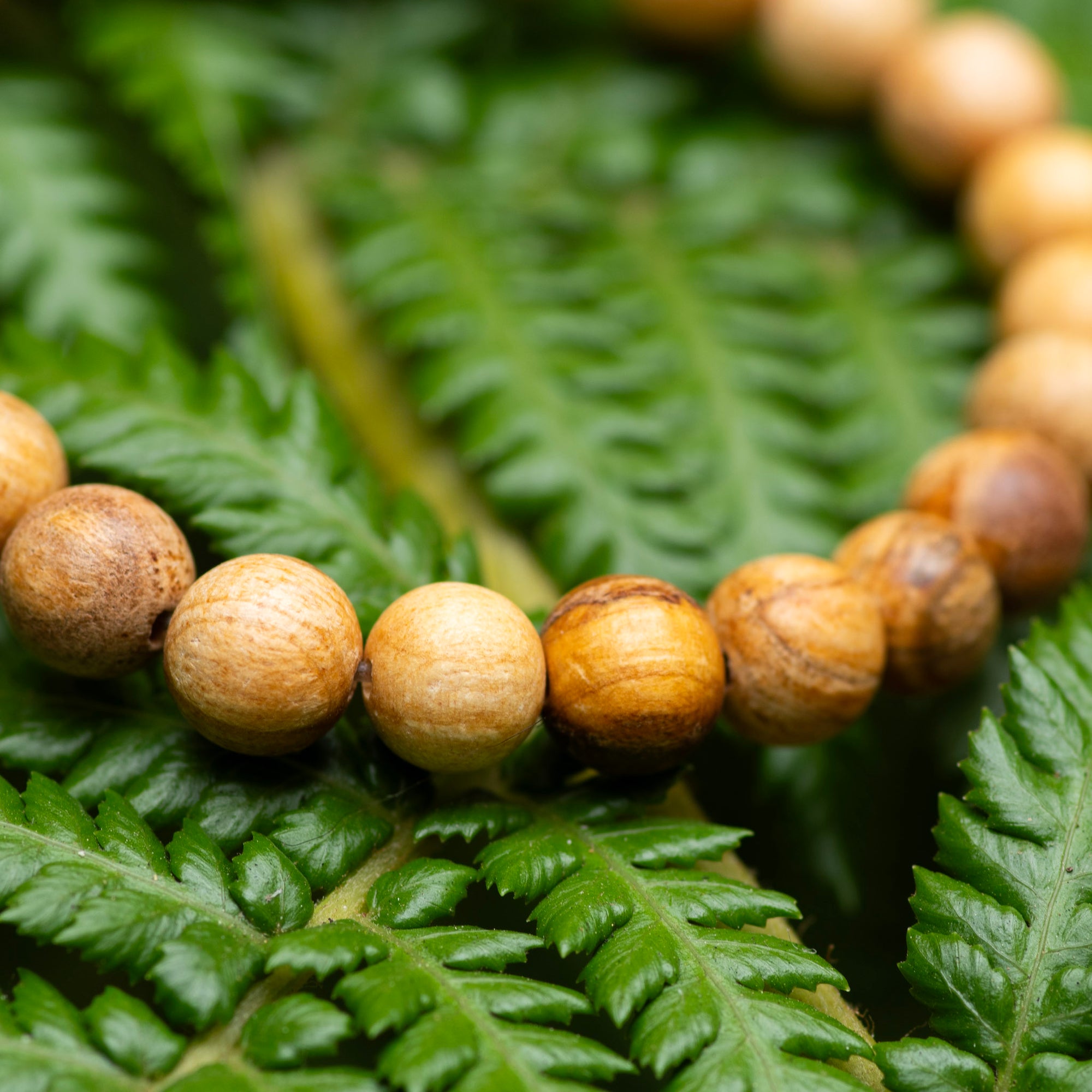 Palo Santo Bracelet