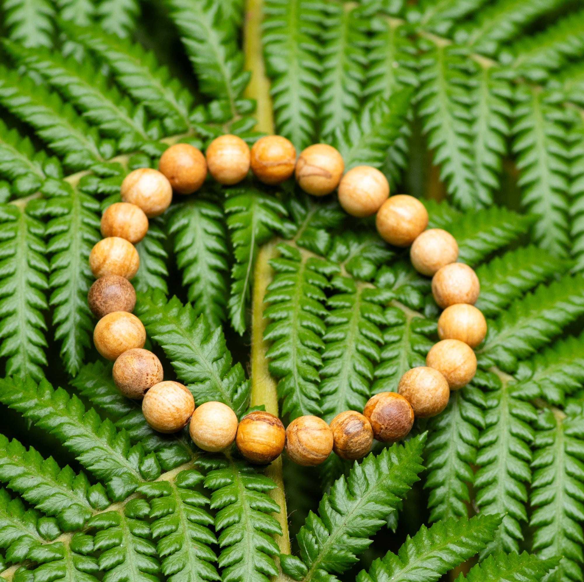 Palo Santo Bracelet