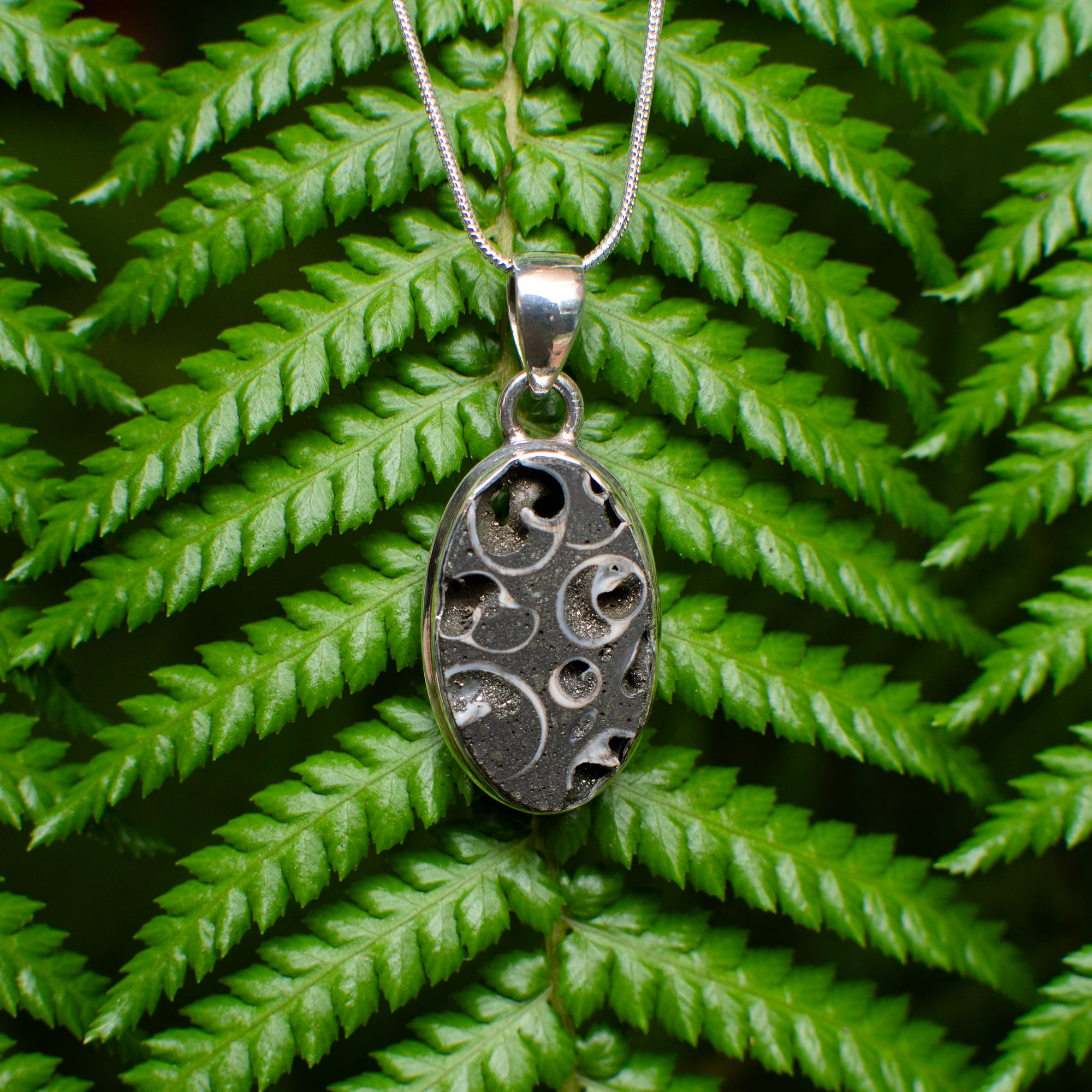 Pyrite Turritella Agate Pendant