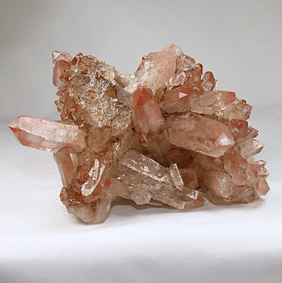 Pink Lemurian