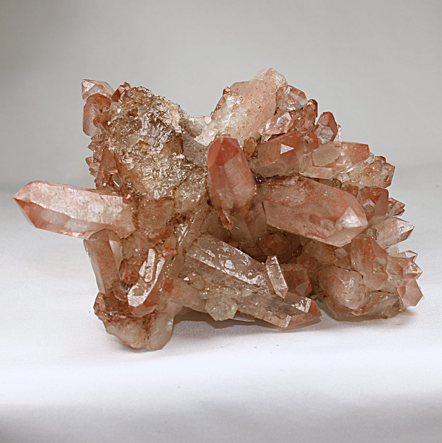 Pink Lemurian