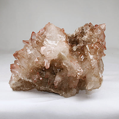 Pink Lemurian
