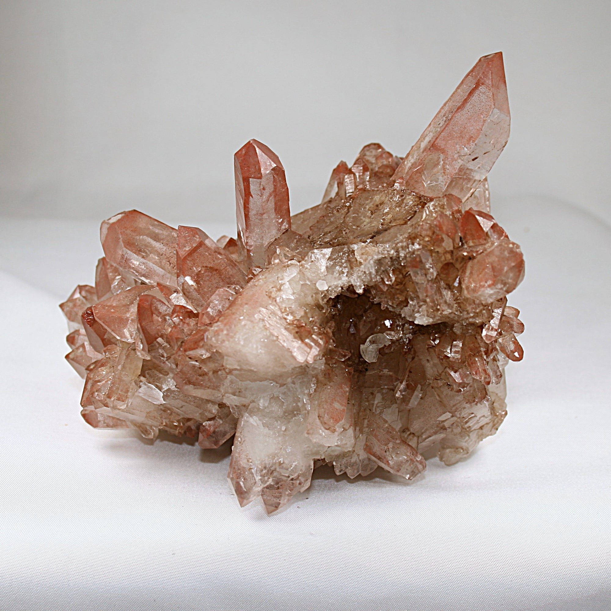 Pink Lemurian