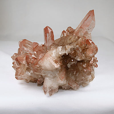 Pink Lemurian