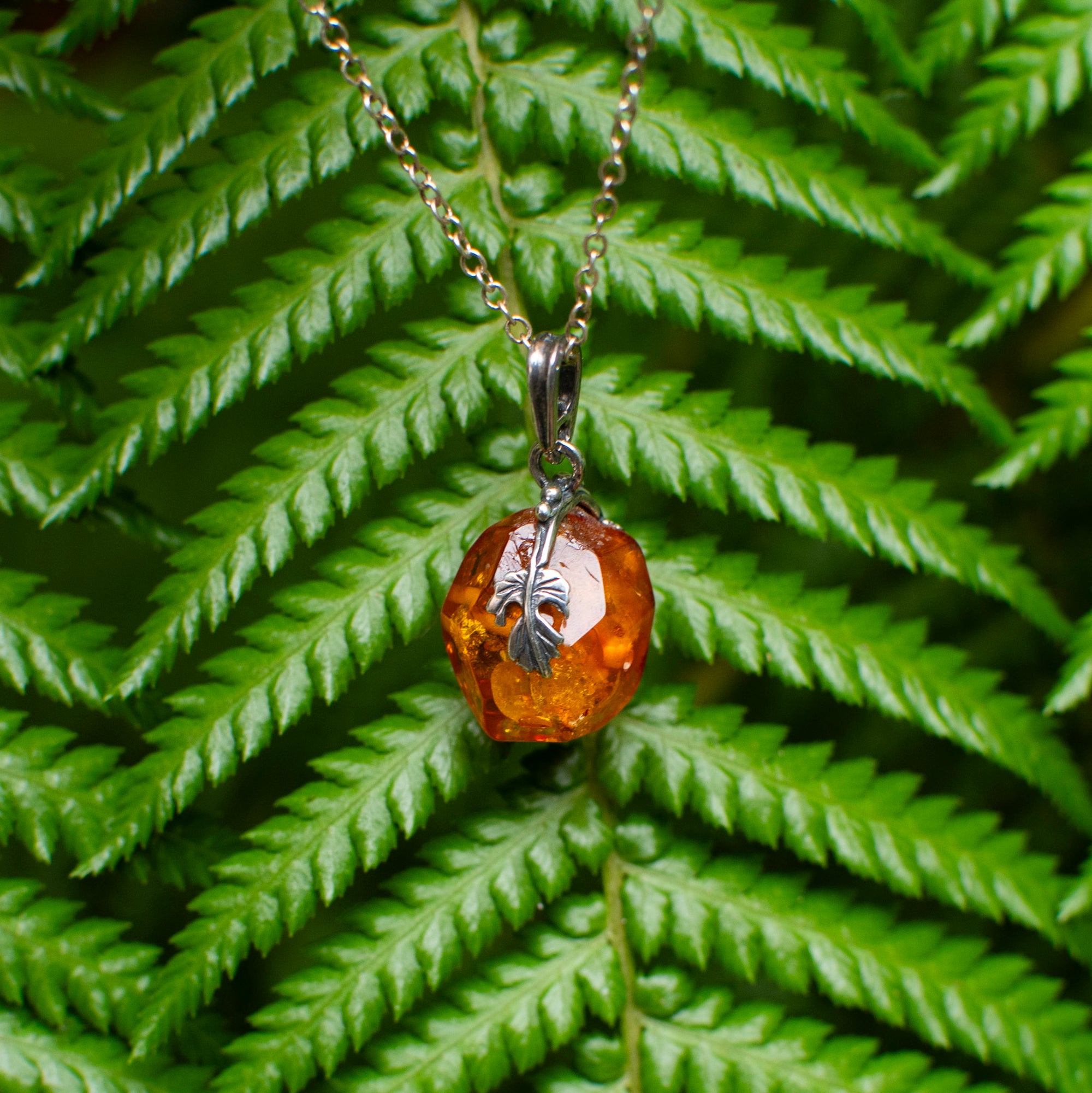 Baltic Amber Pendant