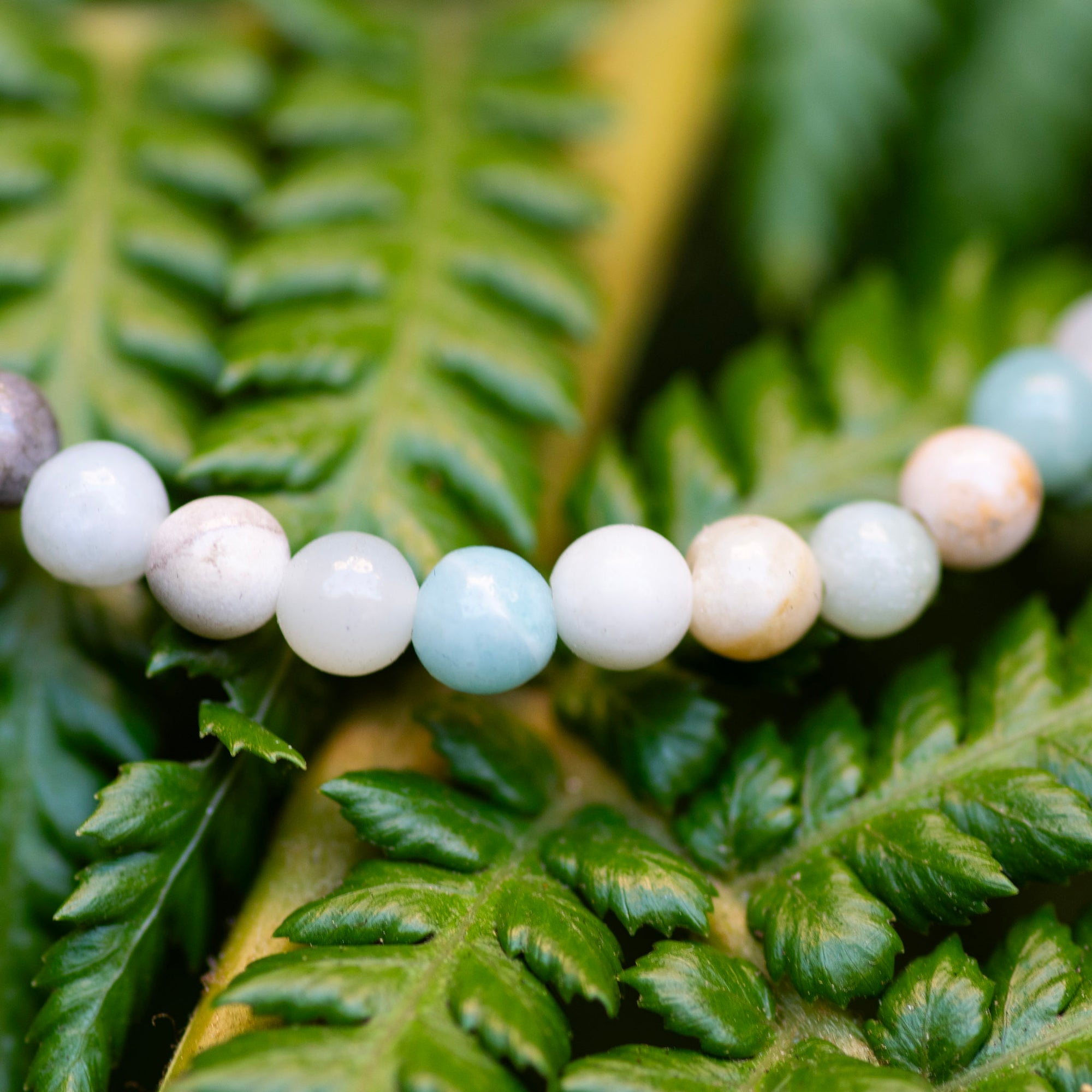 Mini Amazonite Bracelet