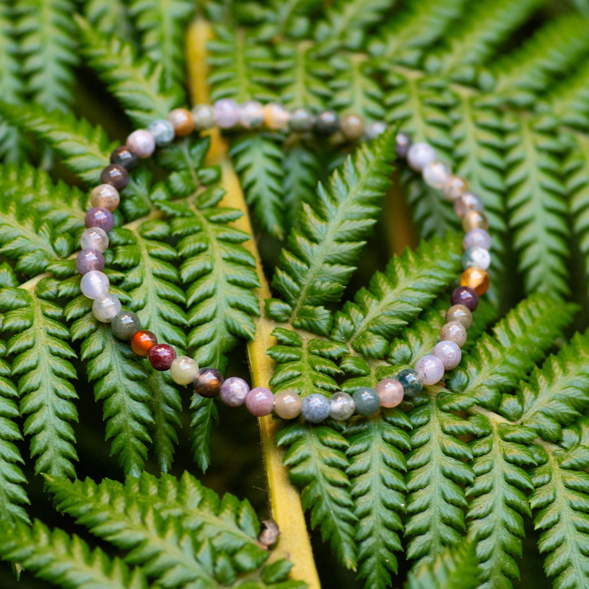 Mini Fancy Jasper Bracelet