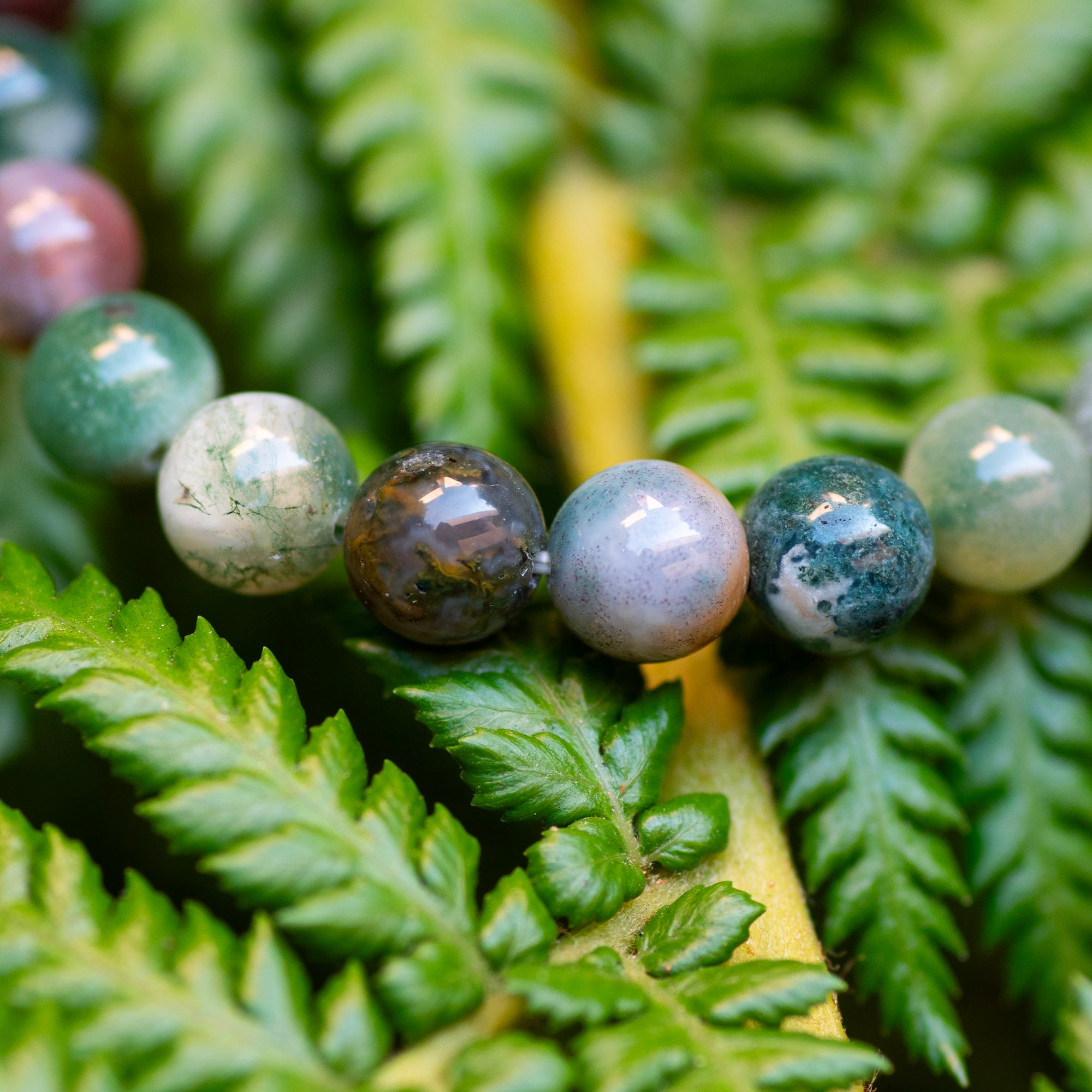 Fancy Jasper Bracelet