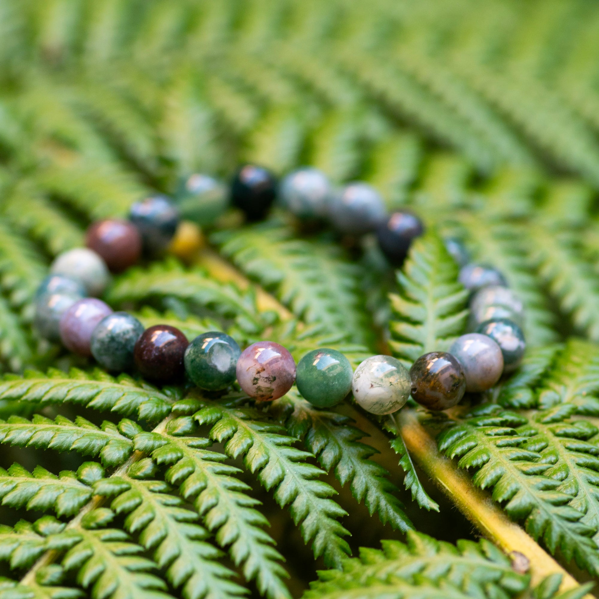 Fancy Jasper Bracelet