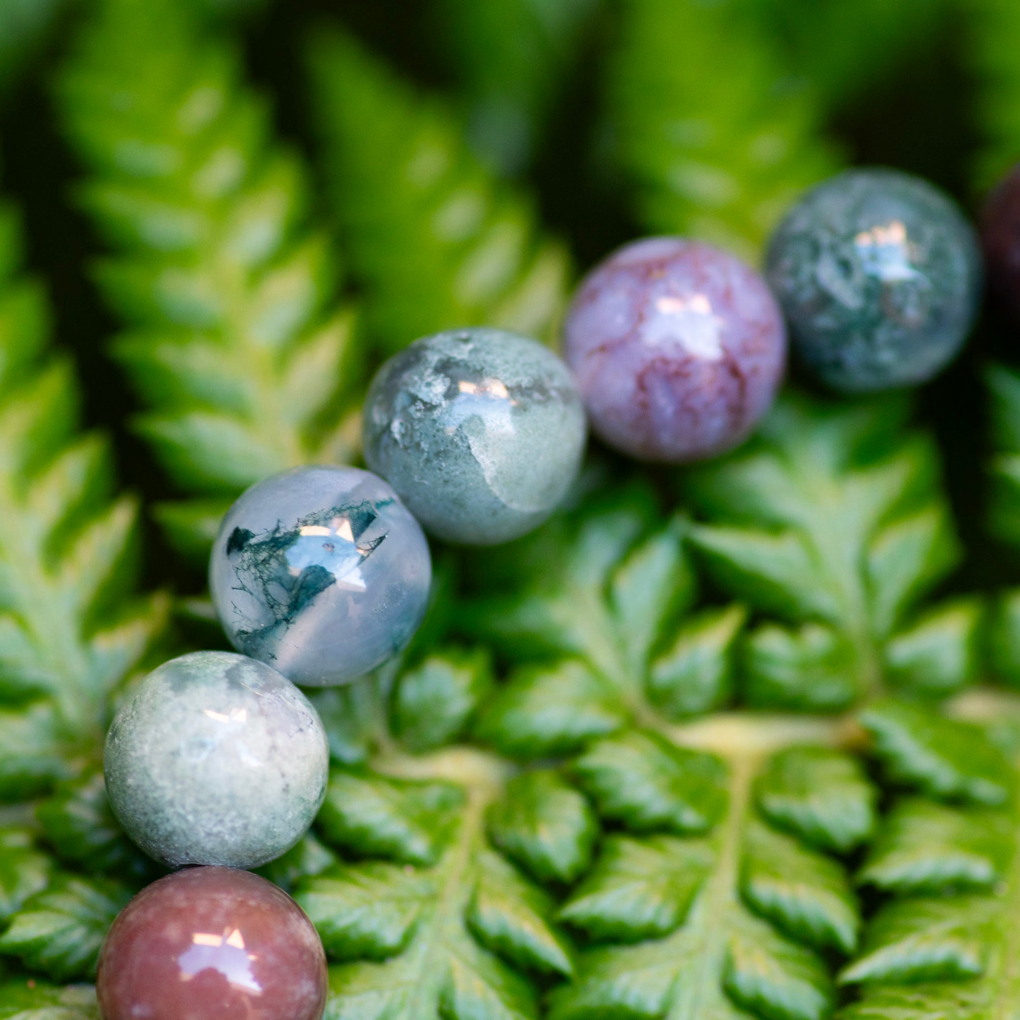 Fancy Jasper Bracelet