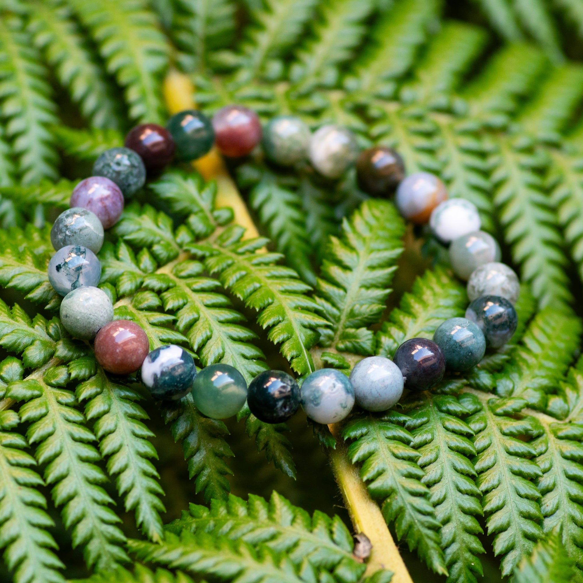 Fancy Jasper Bracelet