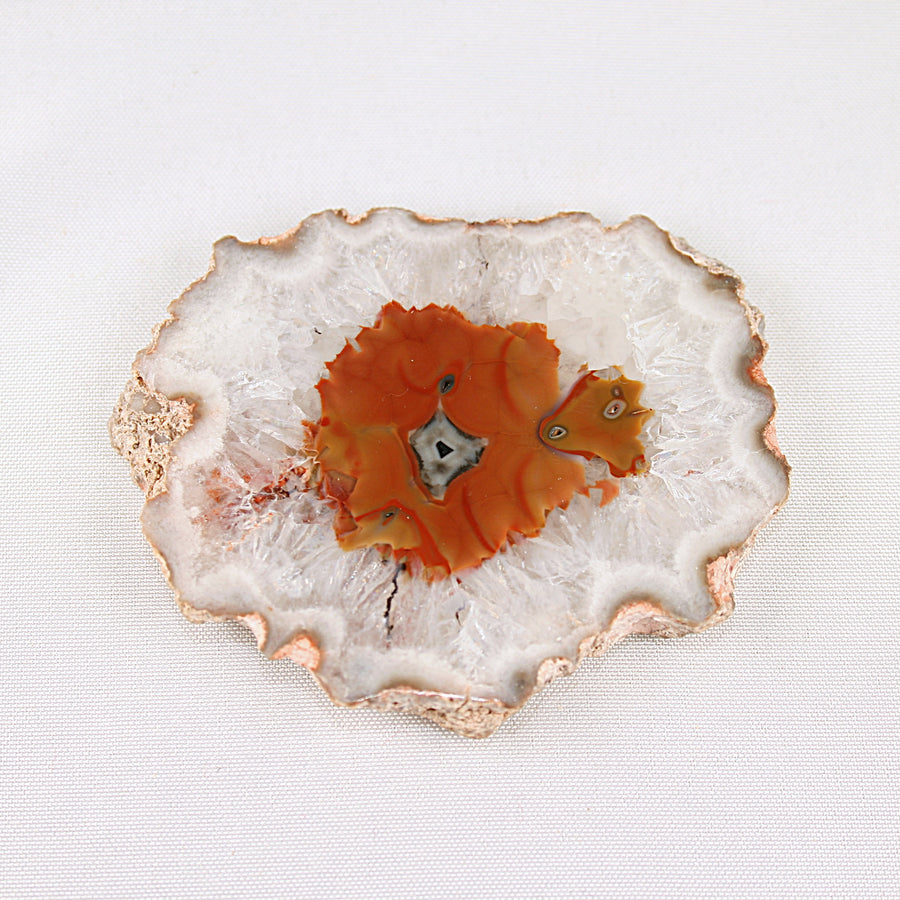 Agate Slice