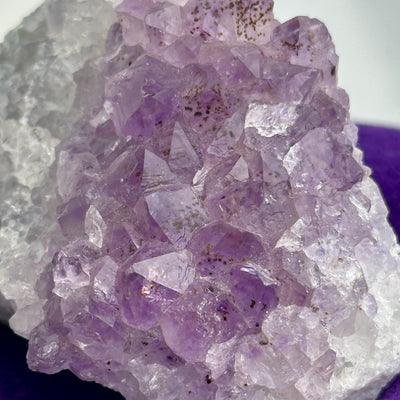 Raw Amethyst Cluster