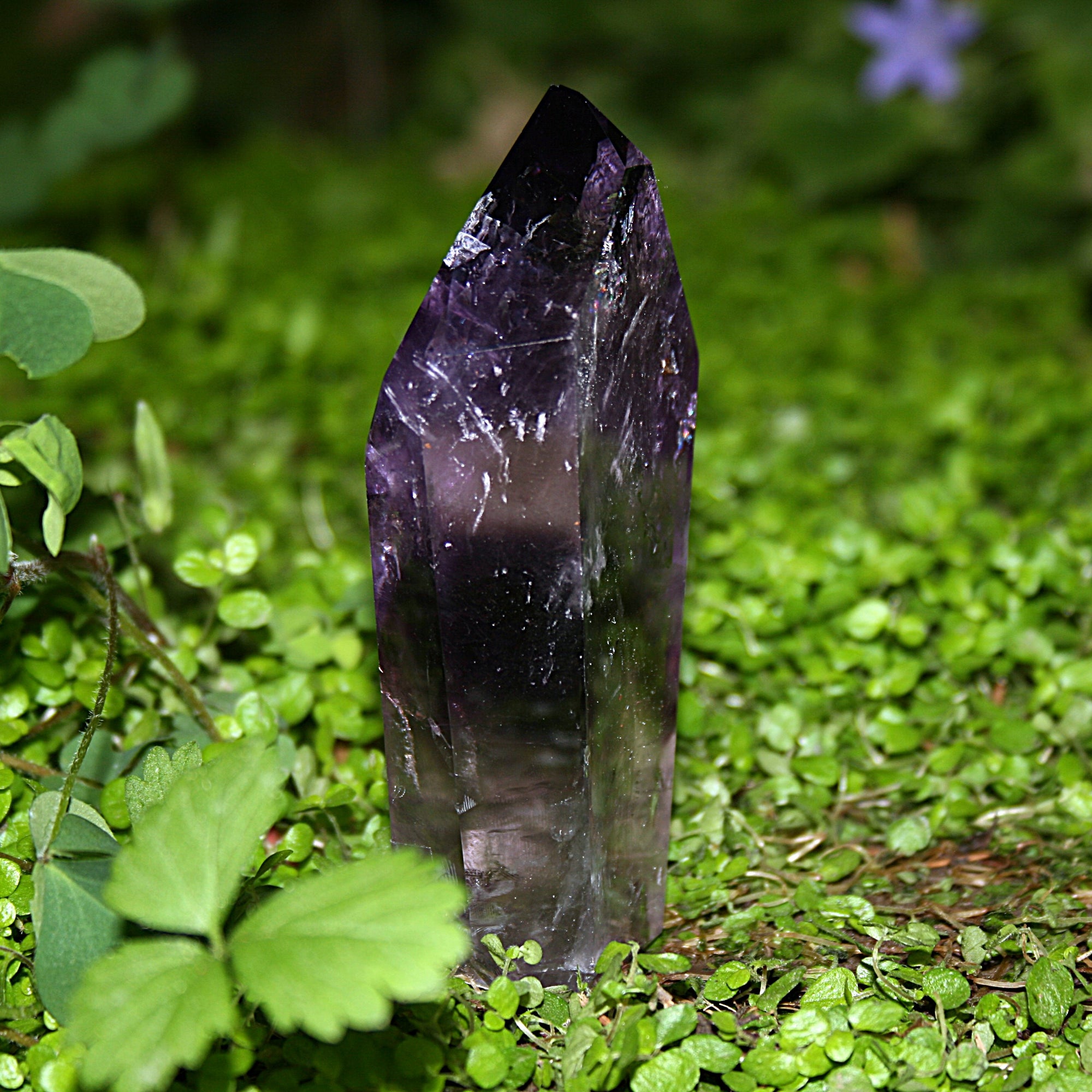 AAA Brazilian Amethyst Tower