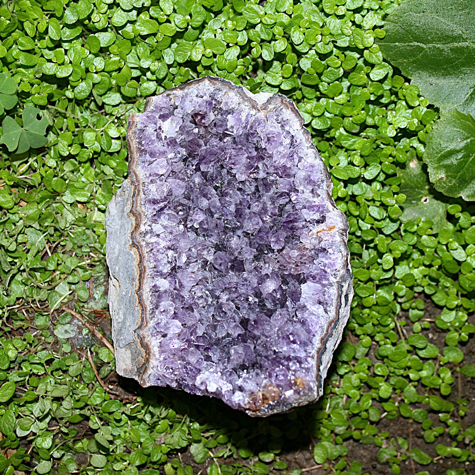 Raw Amethyst Cluster