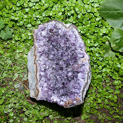 Raw Amethyst Cluster