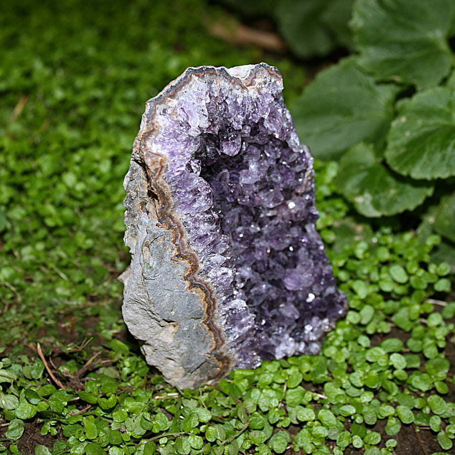 Raw Amethyst Cluster