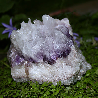 Raw Amethyst Cluster