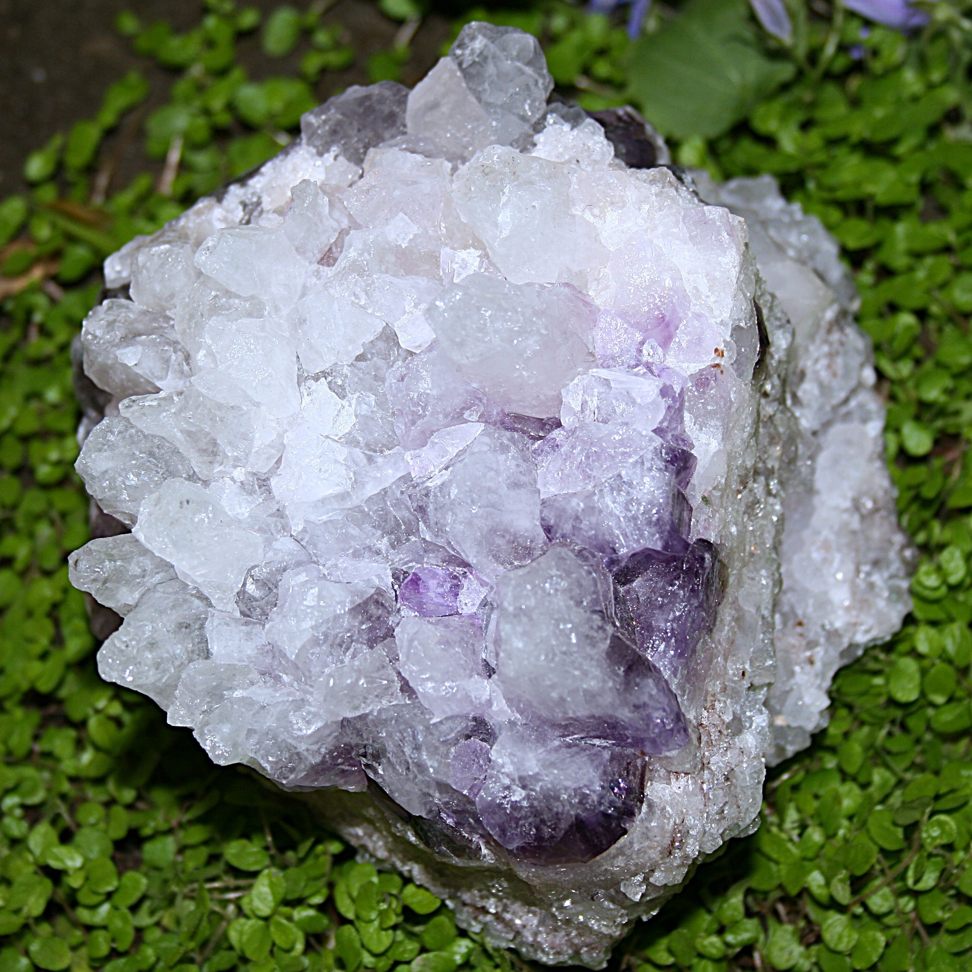Raw Amethyst Cluster