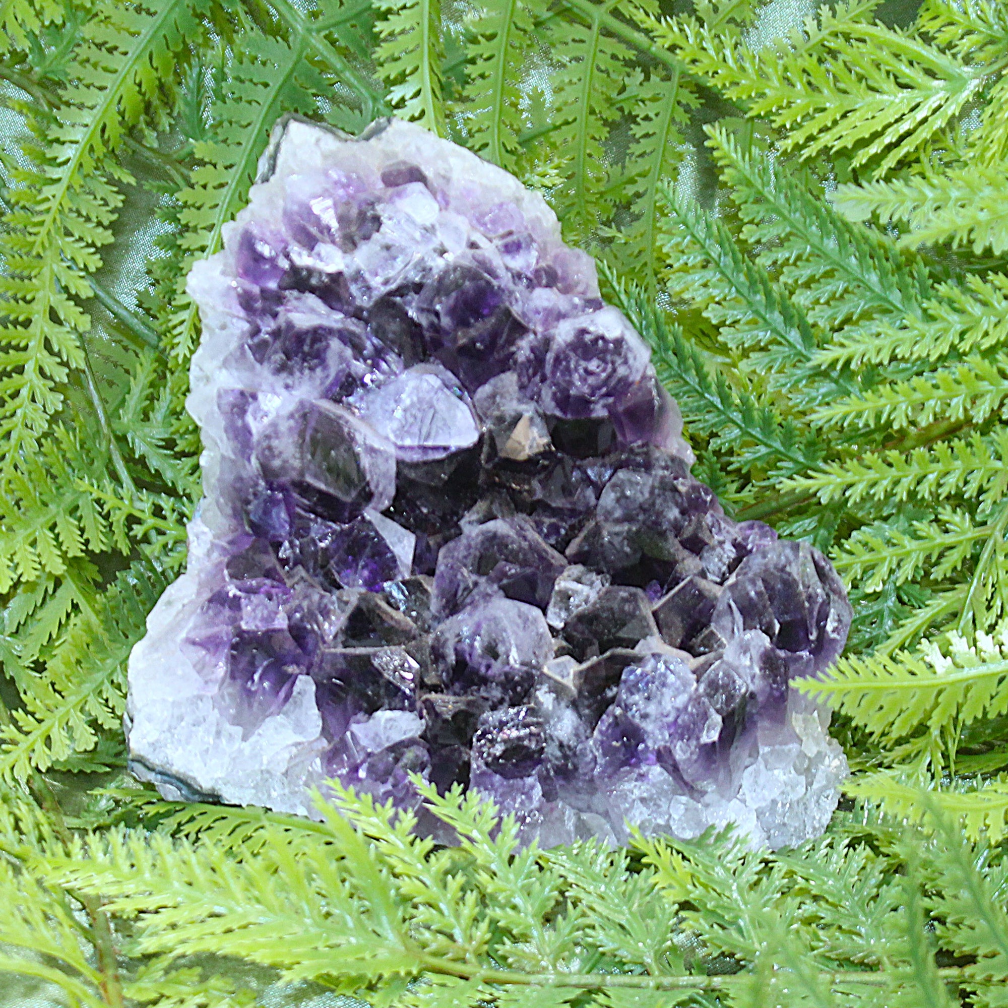 Amethyst Cluster