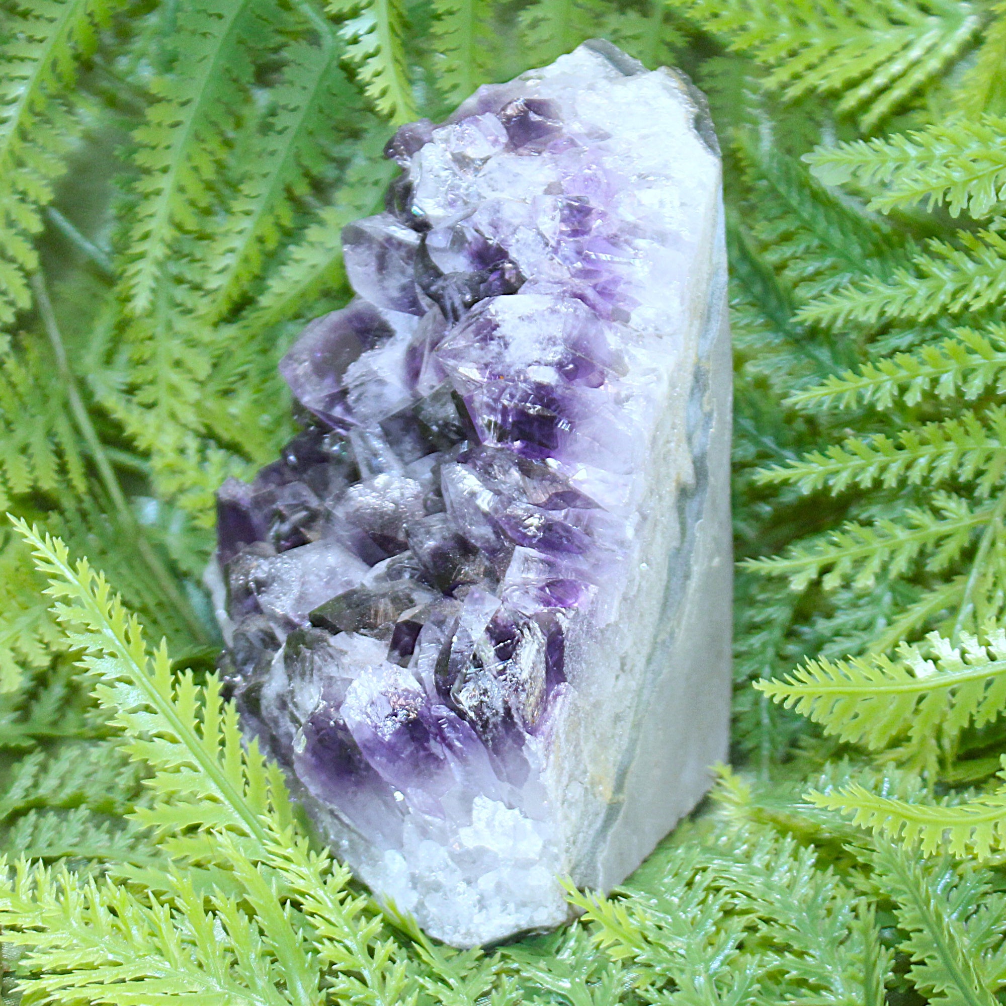 Amethyst Cluster