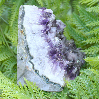 Amethyst Cluster