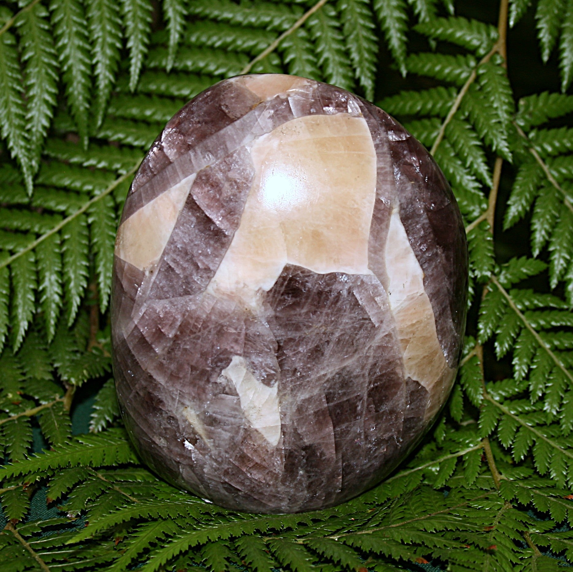 Anydrite Freeform