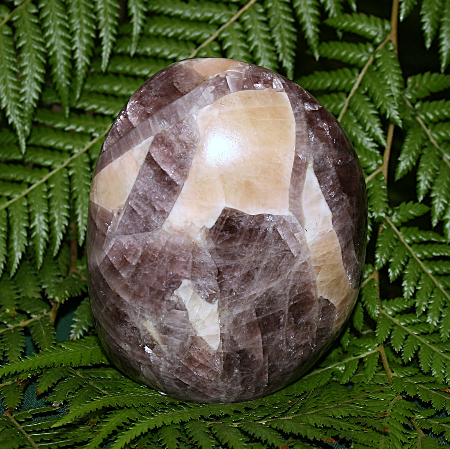 Anydrite Freeform