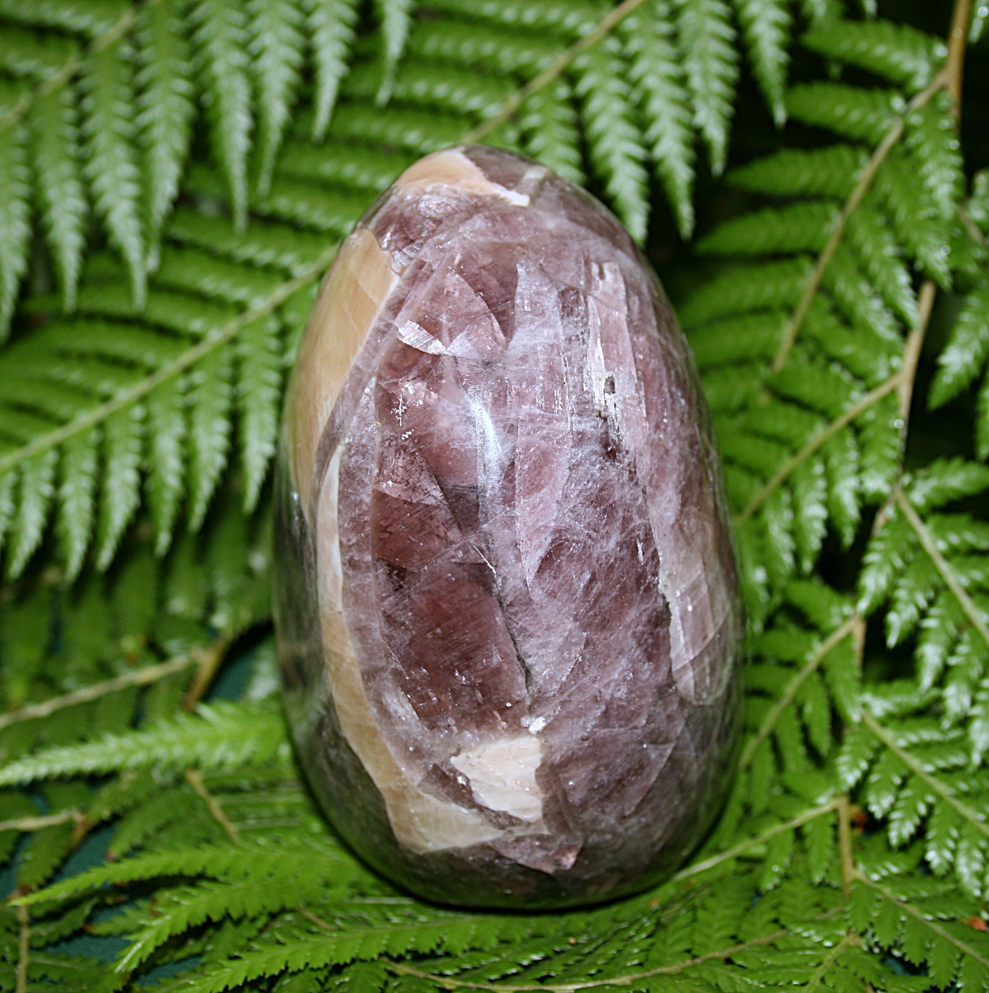 Anydrite Freeform