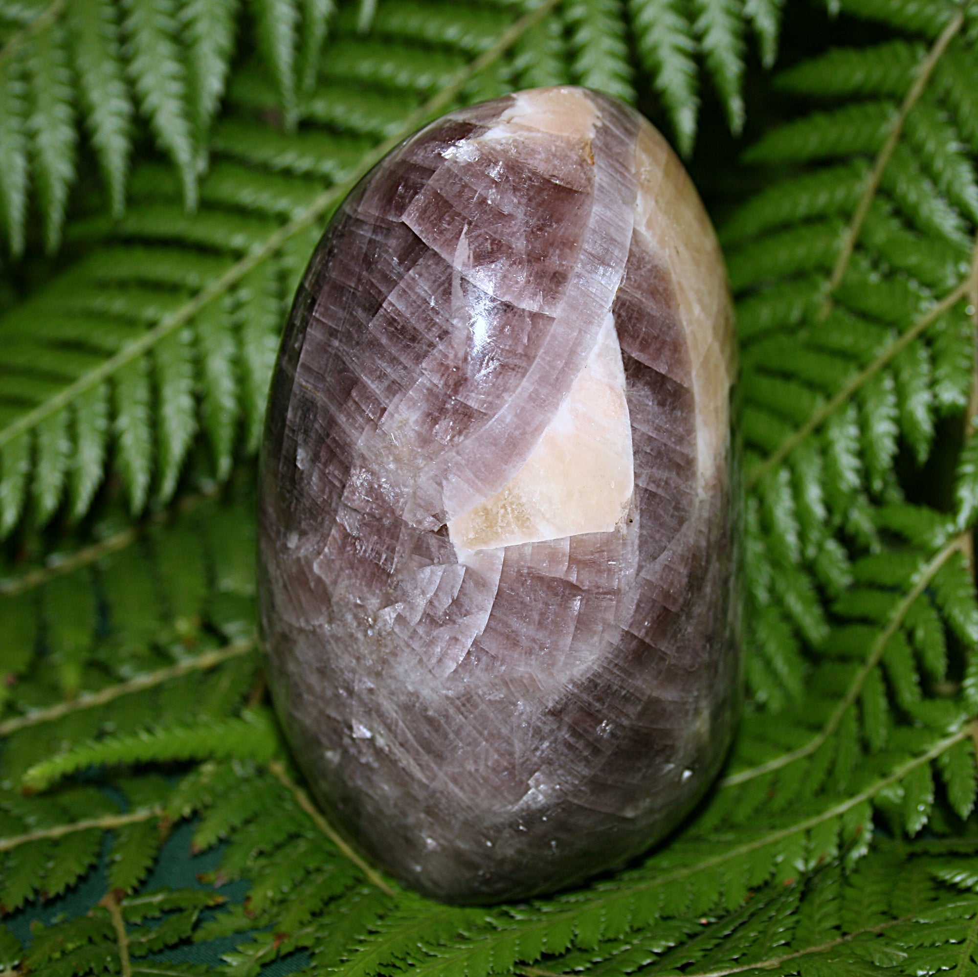 Anydrite Freeform