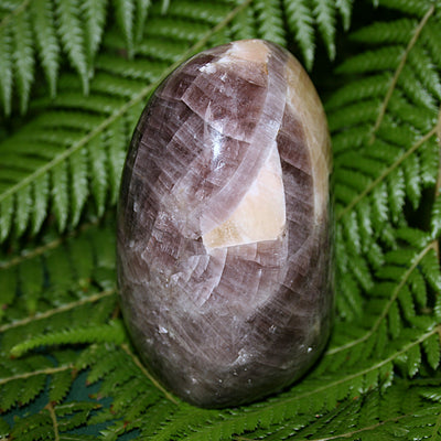 Anydrite Freeform
