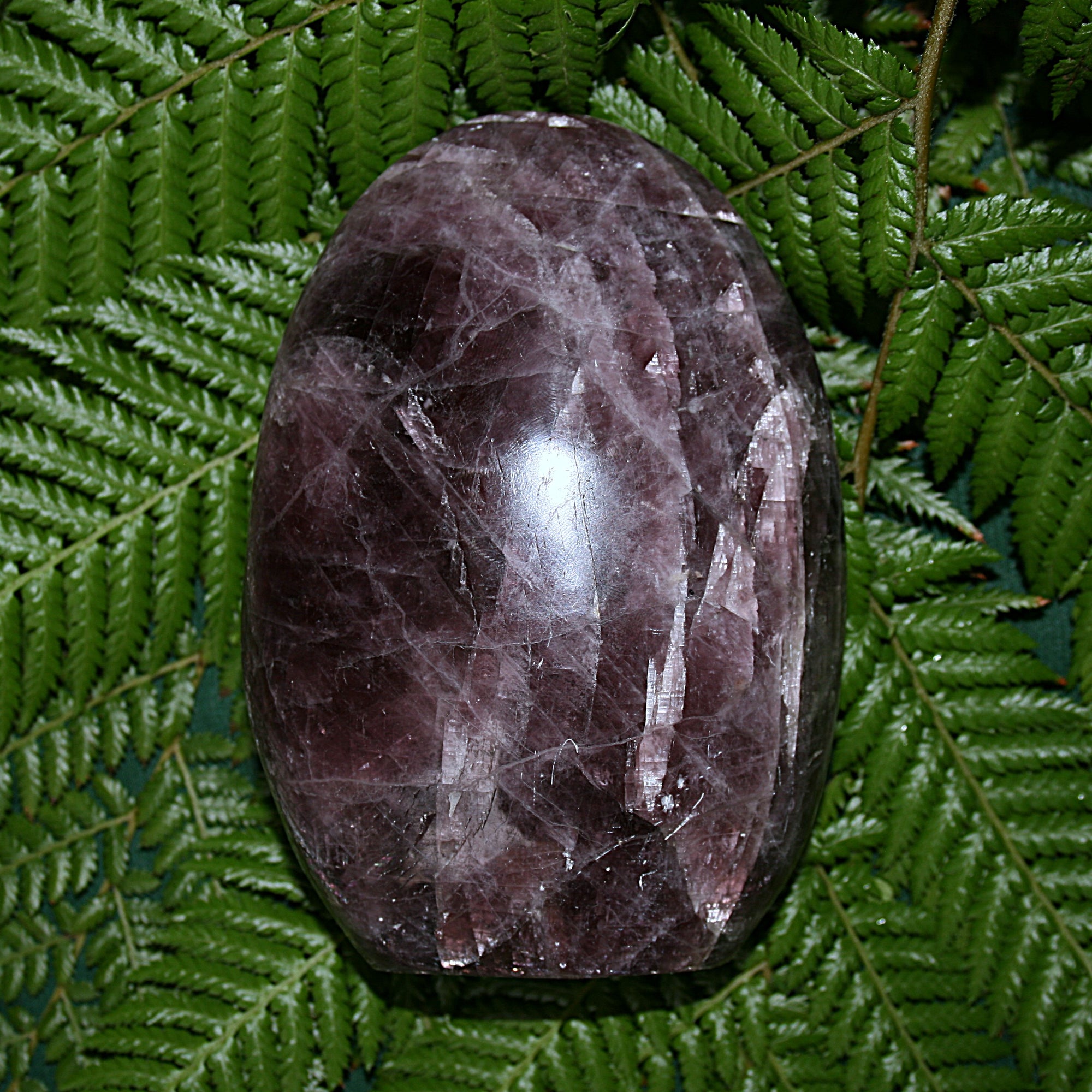 Anydrite Freeform