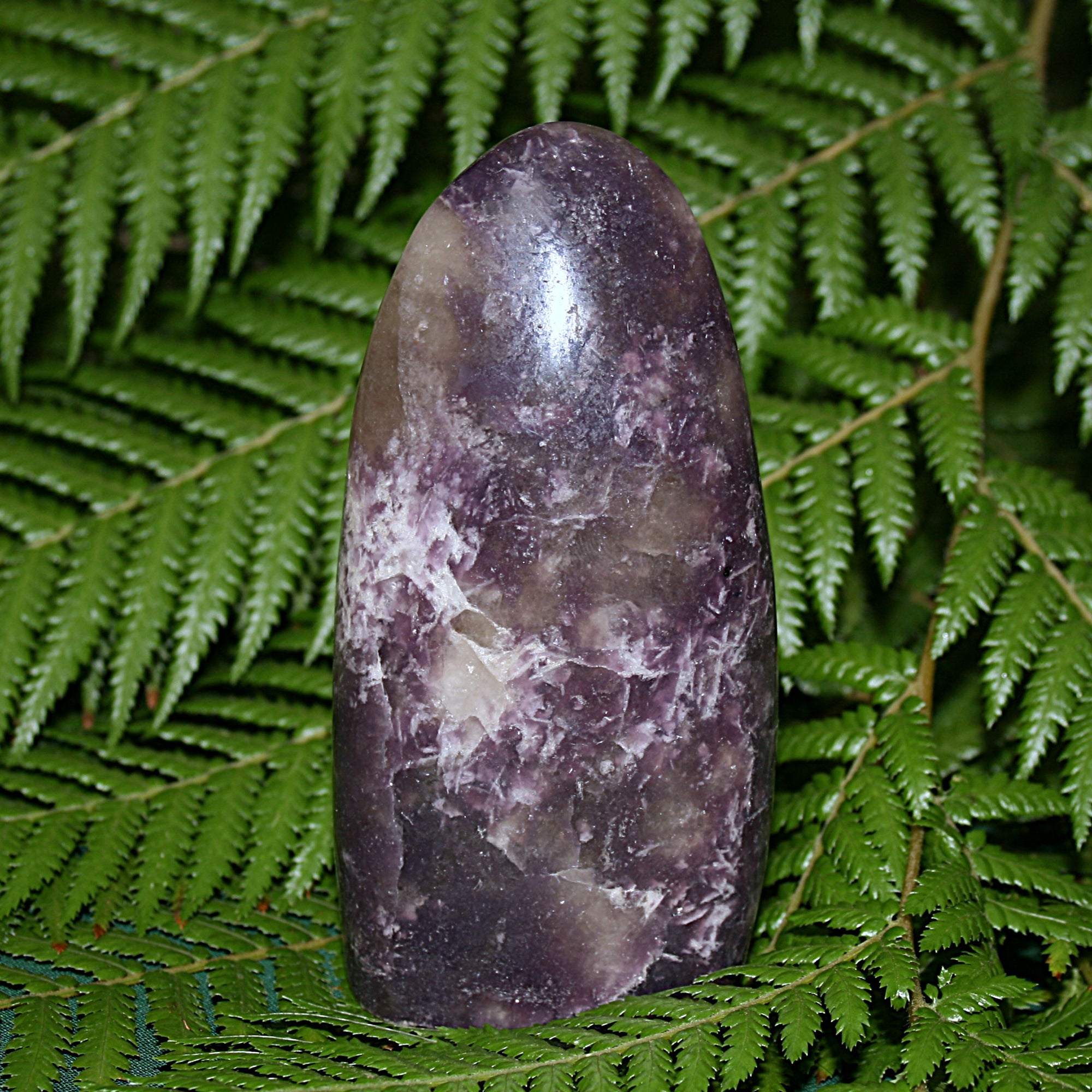 Anydrite Freeform