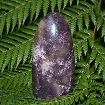 Anydrite Freeform