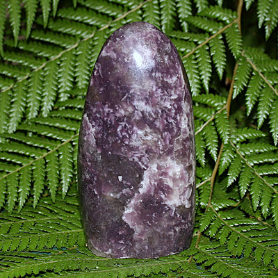 Anydrite Freeform