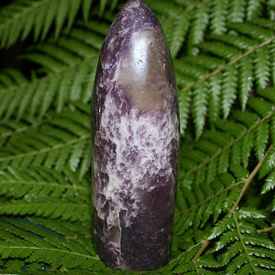 Anydrite Freeform