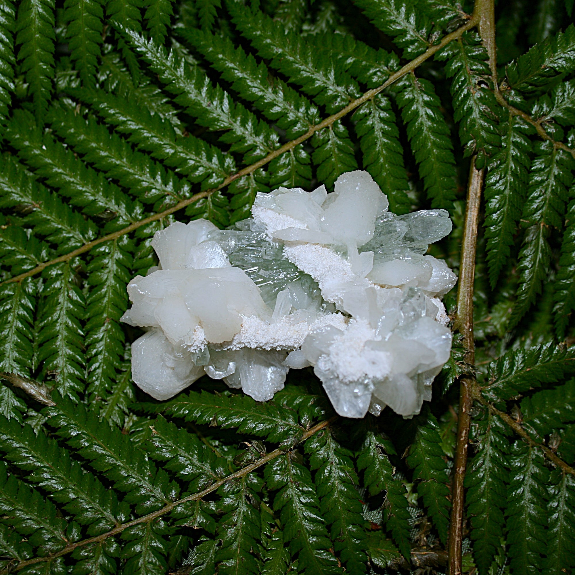 Green Apophylite and Stilbite Specimen
