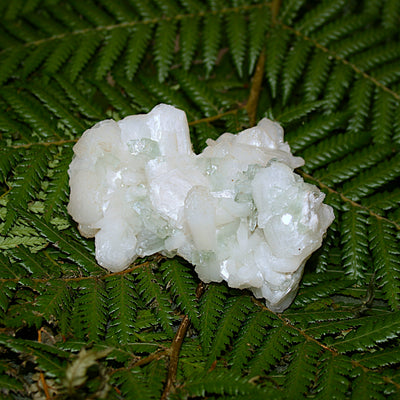 Green Apophylite and Stilbite Specimen