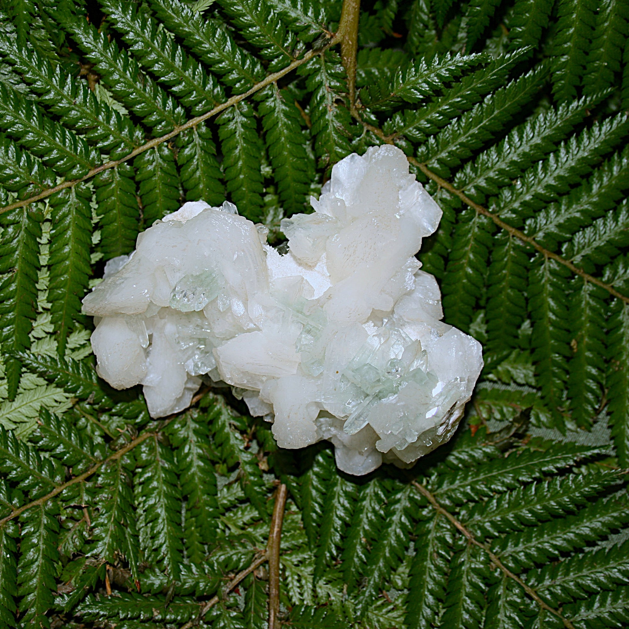 Green Apophylite and Stilbite Specimen