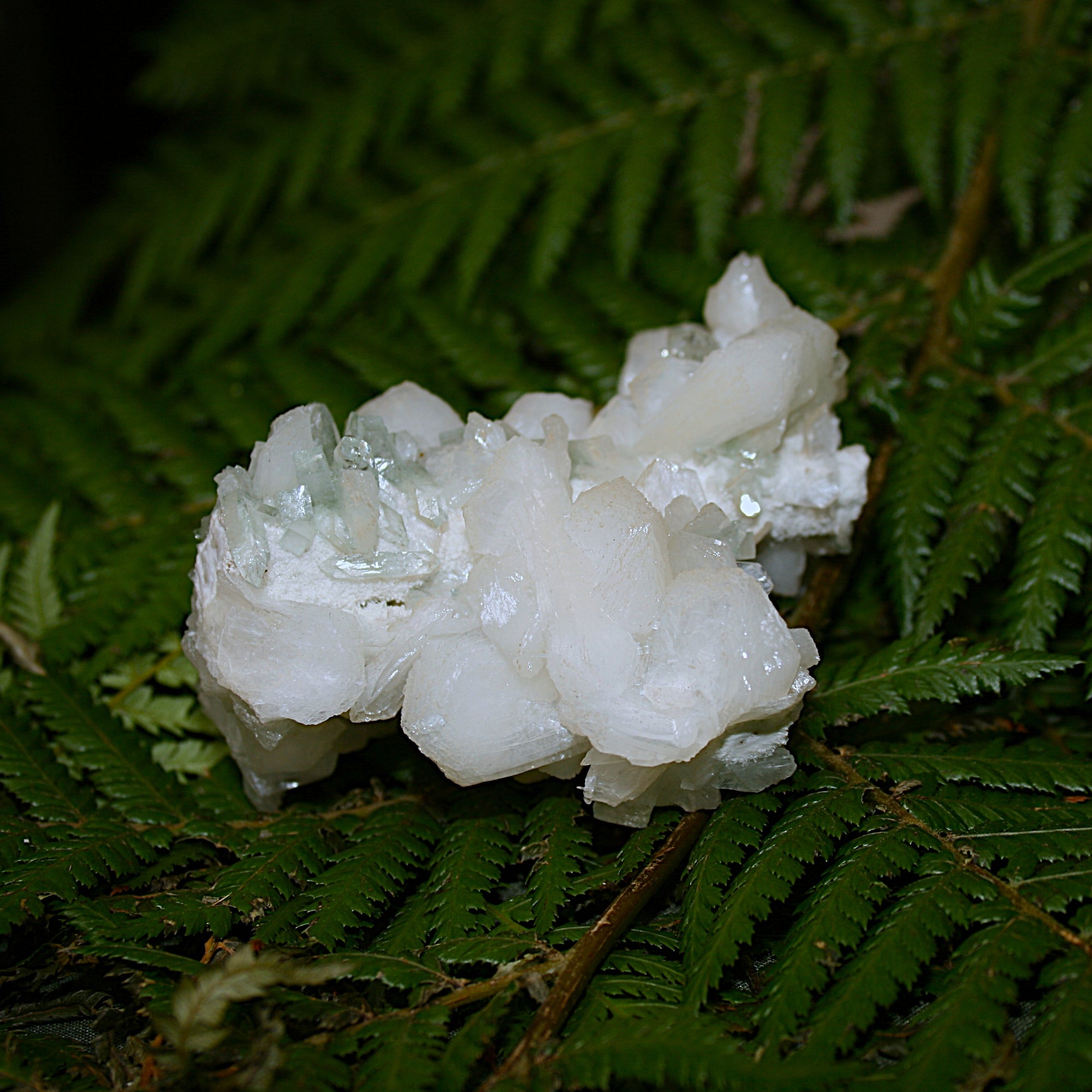 Green Apophylite and Stilbite Specimen