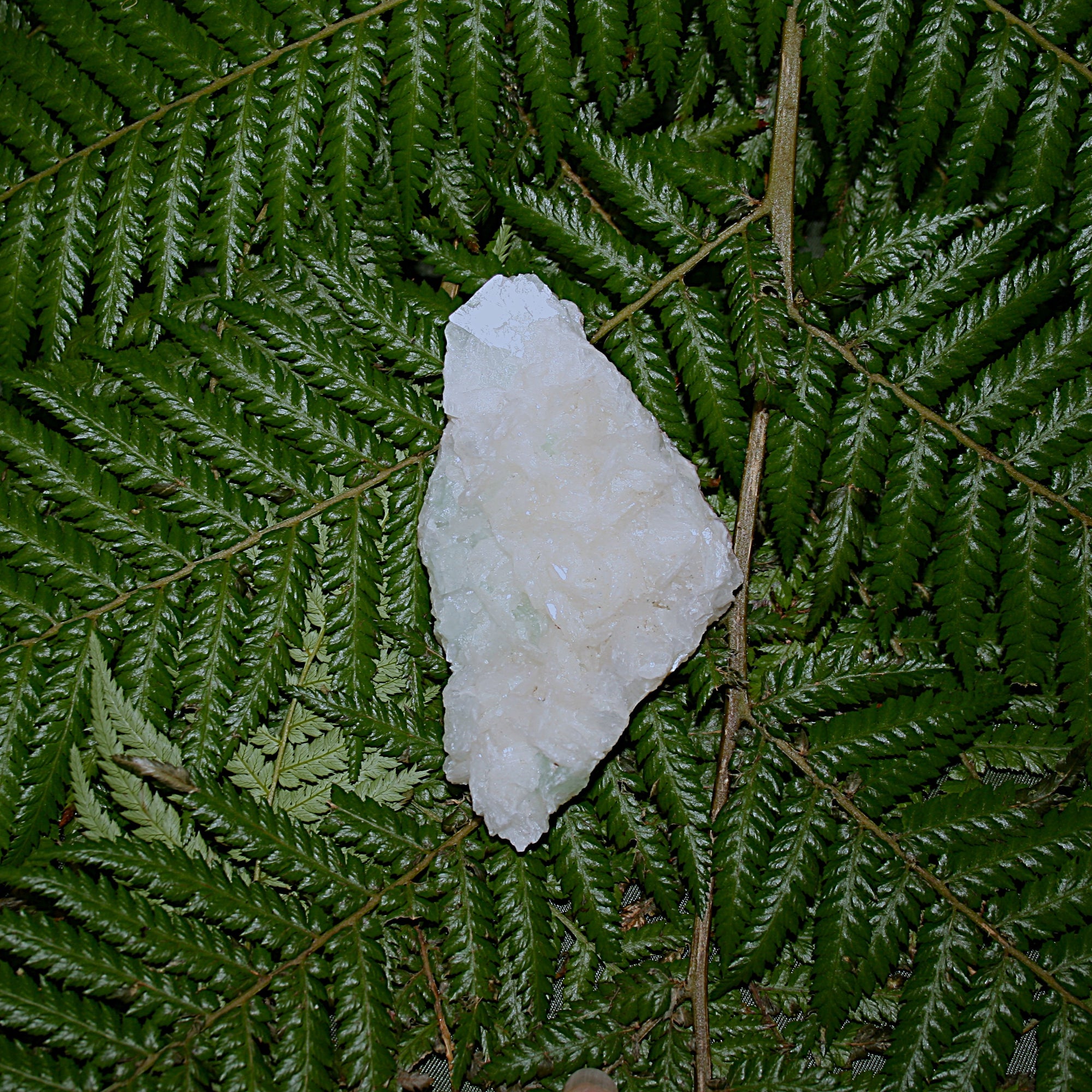 Green Apophylite and Stilbite Specimen