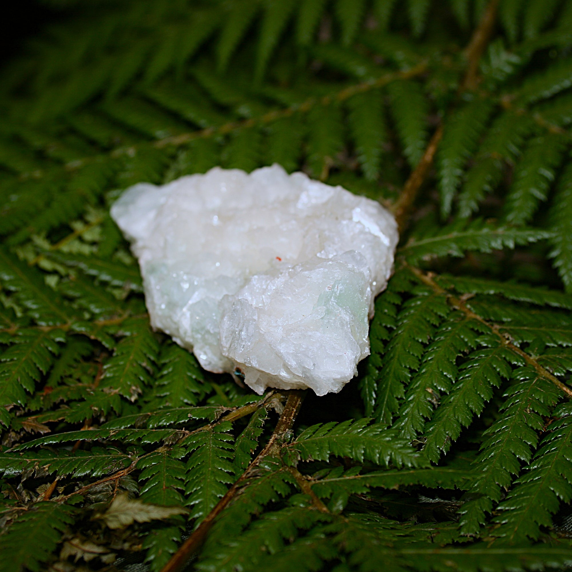 Green Apophylite and Stilbite Specimen