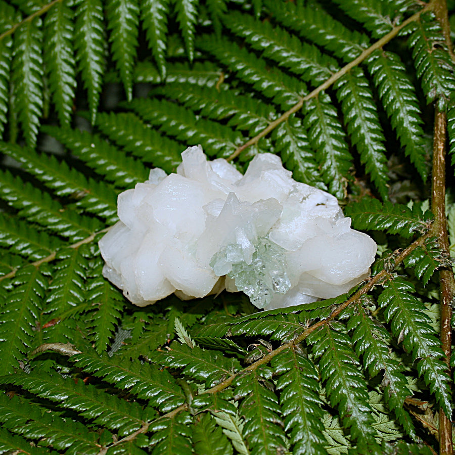 Green Apophylite and Stilbite Specimen