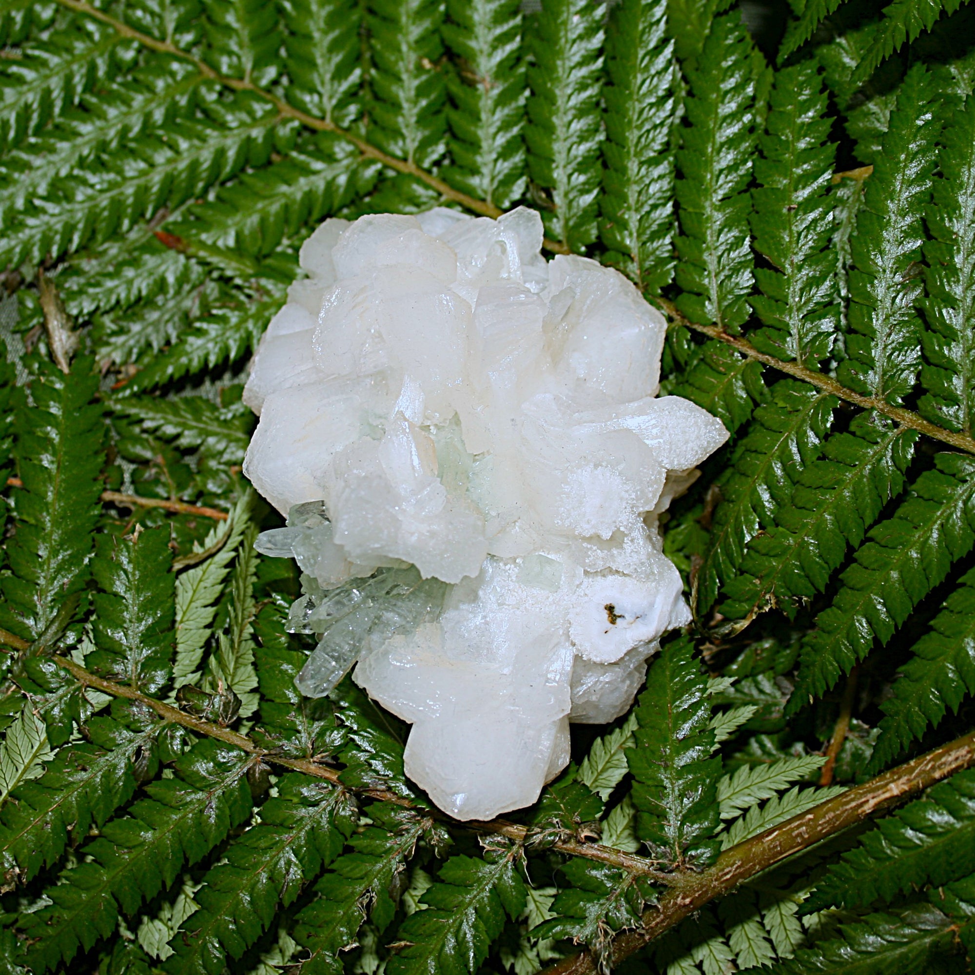 Green Apophylite and Stilbite Specimen